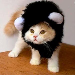 black lion pet costume